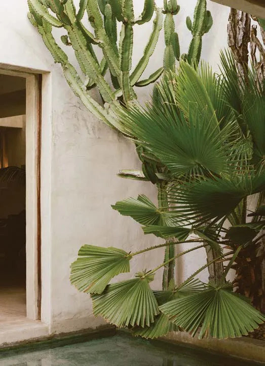 The Kinfolk Garden fra New Mags