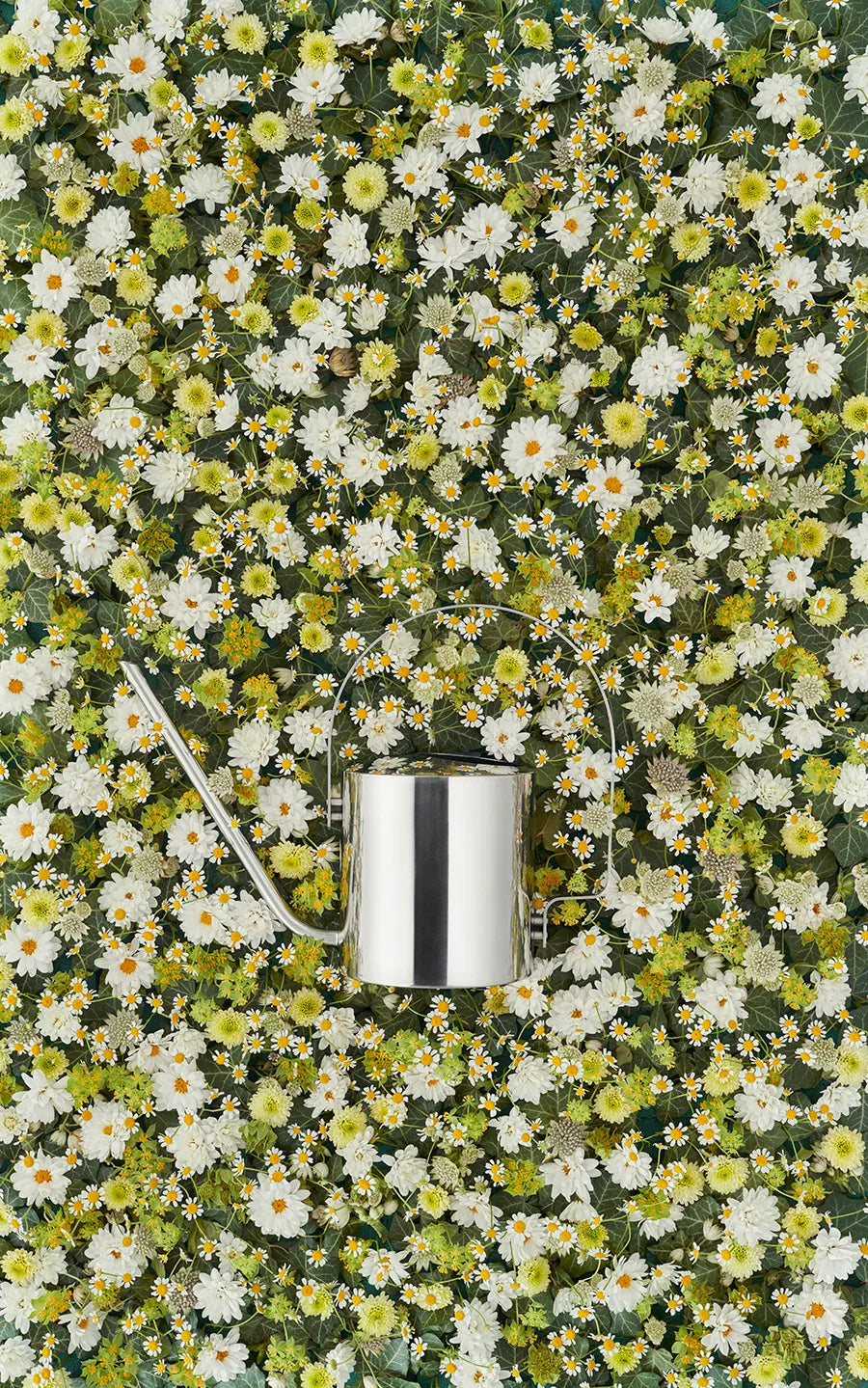 Original vandkande, 1,7 l fra Stelton - 3 - Jacobsen Plus
