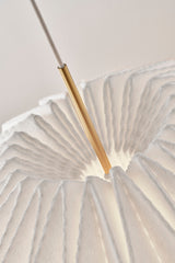  - 11 - Jacobsen Plus