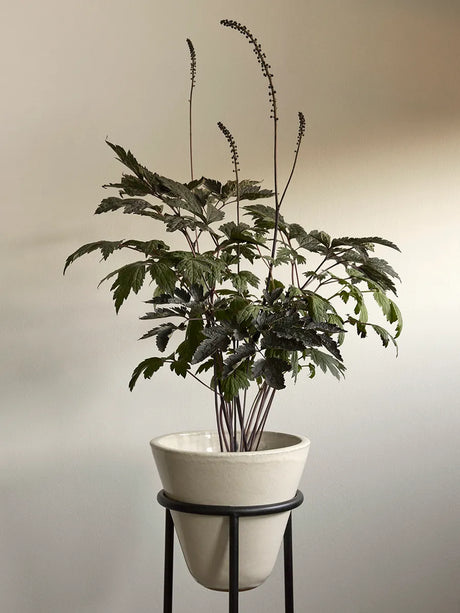 Daiza Planters fra Audo Copenhagen - H 37 - Ø 25 cm - Jacobsen Plus