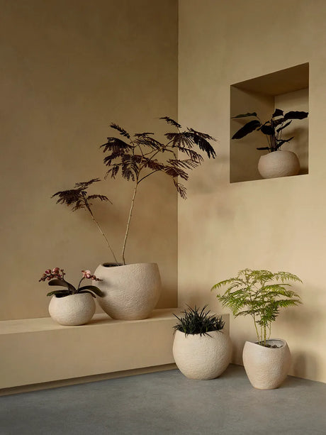 Plantas Planter fra Audo Copenhagen - H17 - Jacobsen Plus