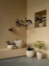 Plantas Planter fra Audo Copenhagen - 25 - Jacobsen Plus