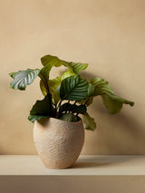 Plantas Planter fra Audo Copenhagen - 7 - Jacobsen Plus