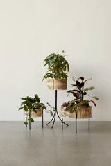 Umanoff Planter, 32,5 fra Audo Copenhagen - 4 - Jacobsen Plus