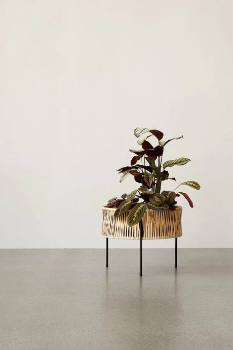 Umanoff Planter, 32,5 fra Audo Copenhagen - 3 - Jacobsen Plus
