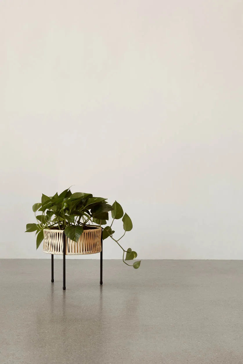 Umanoff Planter 27 fra Audo Copenhagen - 3 - Jacobsen Plus