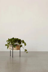 Umanoff Planter 27 fra Audo Copenhagen - 3 - Jacobsen Plus