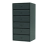 Black Jade