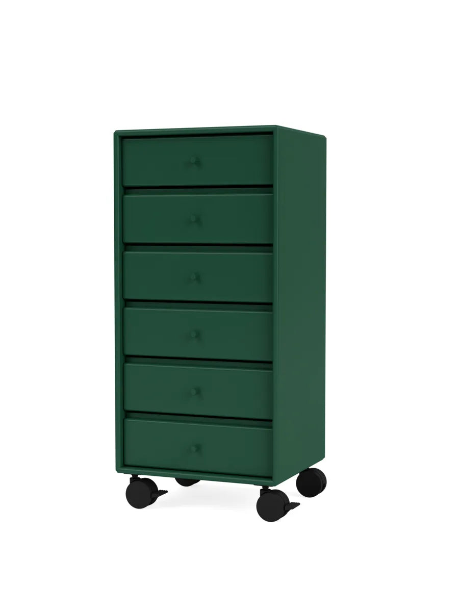  - Pine - Jacobsen Plus