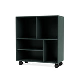  - 303 - Jacobsen Plus
