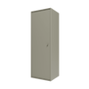 Fennel