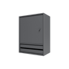 Coal