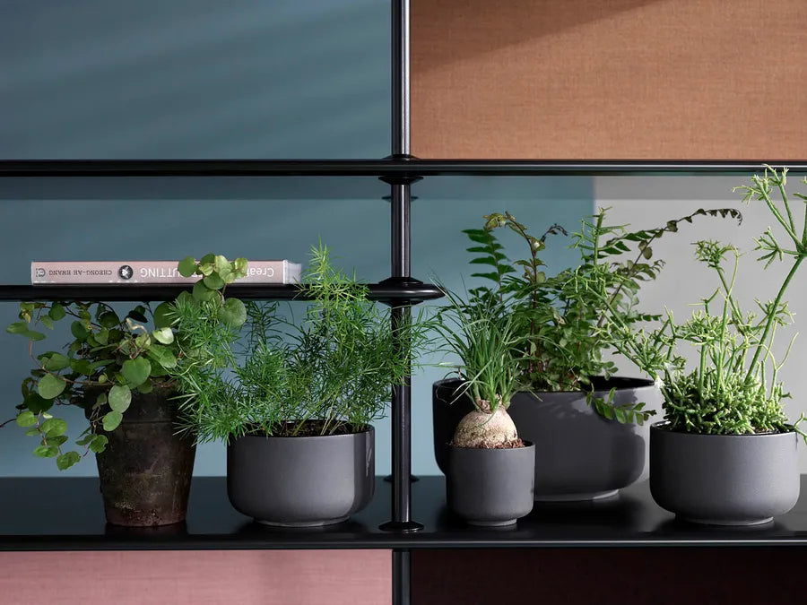 Montana Free Reol 542000