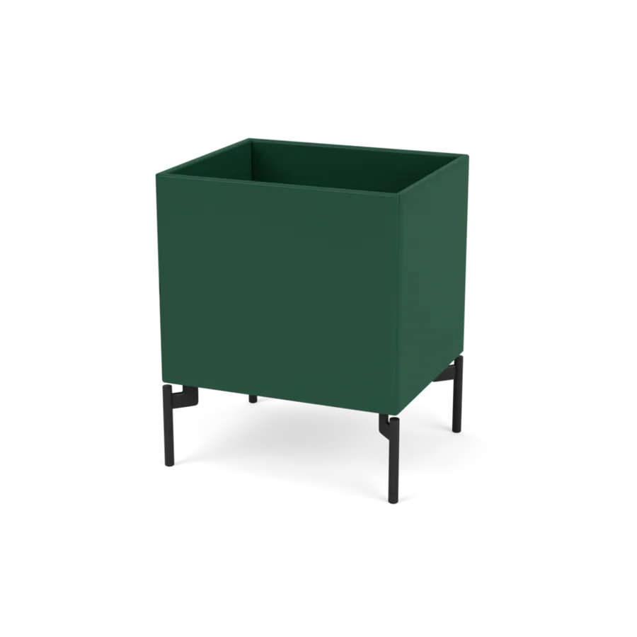  - Pine / Black - Jacobsen Plus