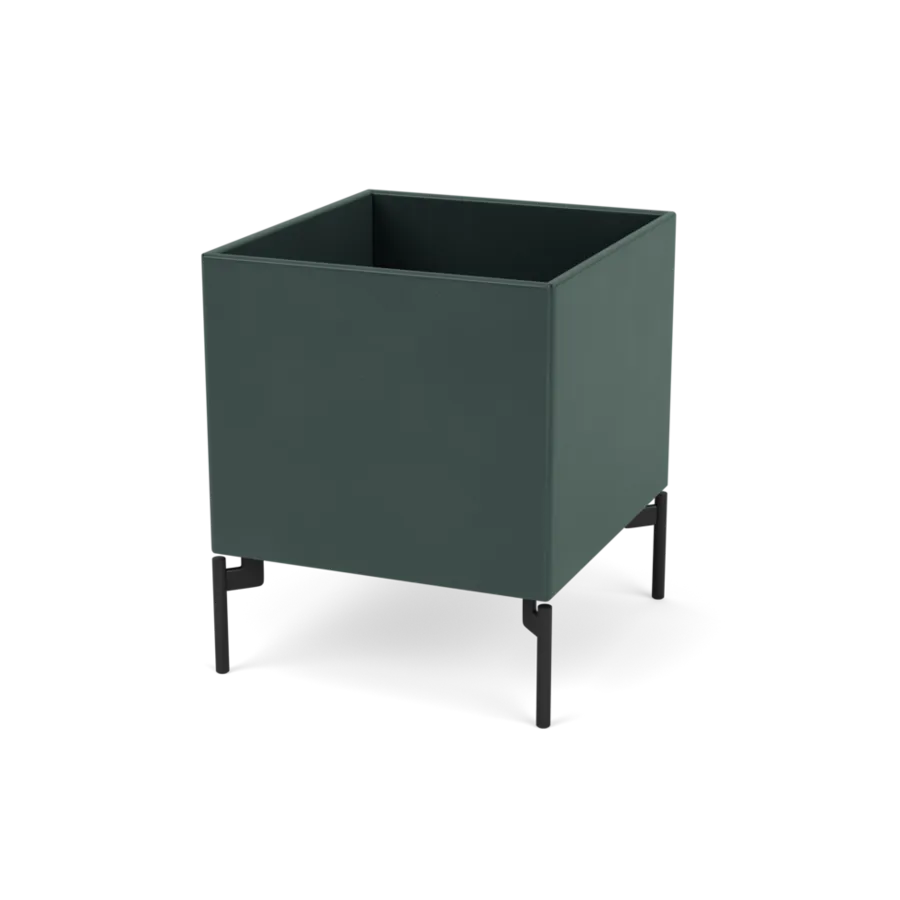  - Black Jade / Black - Jacobsen Plus