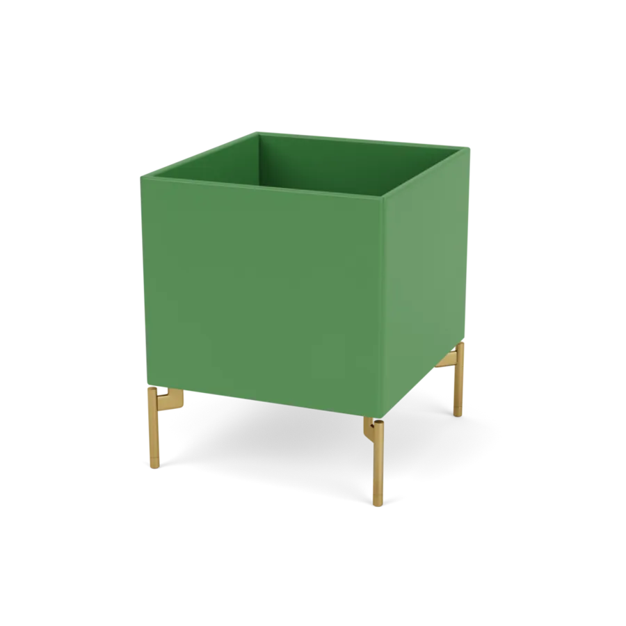  - Parsley / Messing - Jacobsen Plus