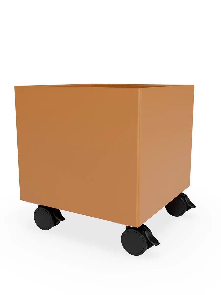 Montana Mini Play Kasse