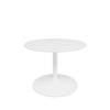 Snow laminate / Snow stel