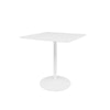Snow laminate / Snow stel