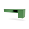 Parsley