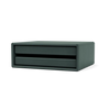 Black Jade