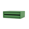 Parsley