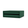 Pine