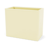 Camomile