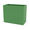 Parsley