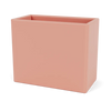 Rhubarb
