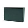 Black Jade