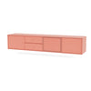 Rhubarb