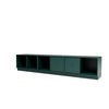 Black Jade