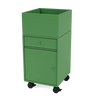 Parsley