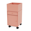 Rhubarb