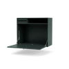 Black Jade
