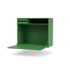 Parsley
