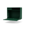 Pine
