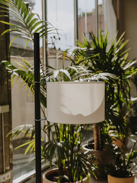 TMM Gulvlampe, sort eg fra Santa and Cole - Beige - Jacobsen Plus