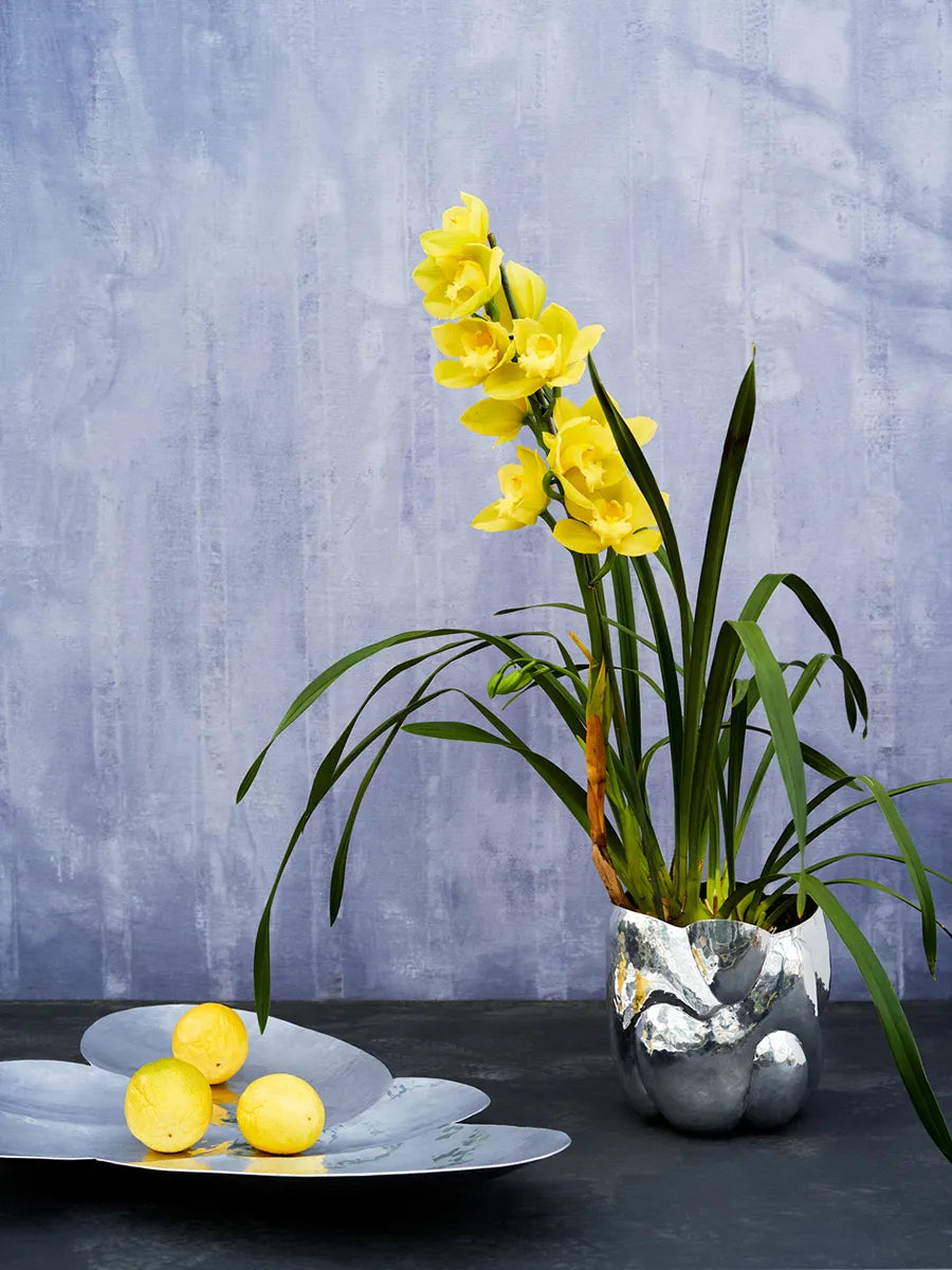 Cloud Vessel fra Tom Dixon - 4 - Jacobsen Plus