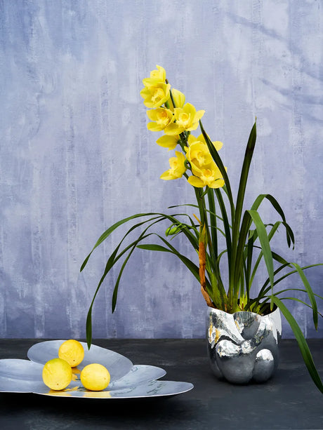 Cloud Vessel fra Tom Dixon - Small - Jacobsen Plus