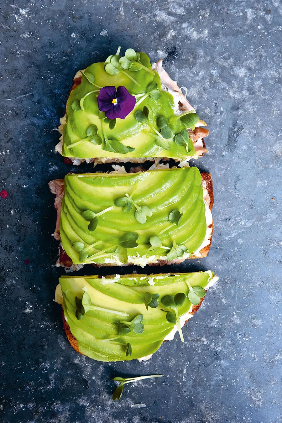 The Avocado Book fra New Mags - 7 - Jacobsen Plus
