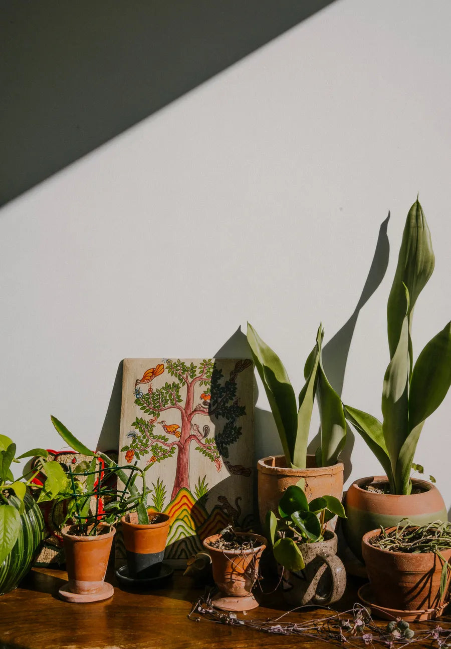 The Kinfolk Garden fra New Mags