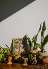 The Kinfolk Garden fra New Mags - 6 - Jacobsen Plus