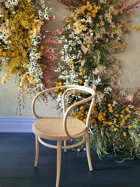 209 Armstol, bøg fra Thonet - 2 - Jacobsen Plus