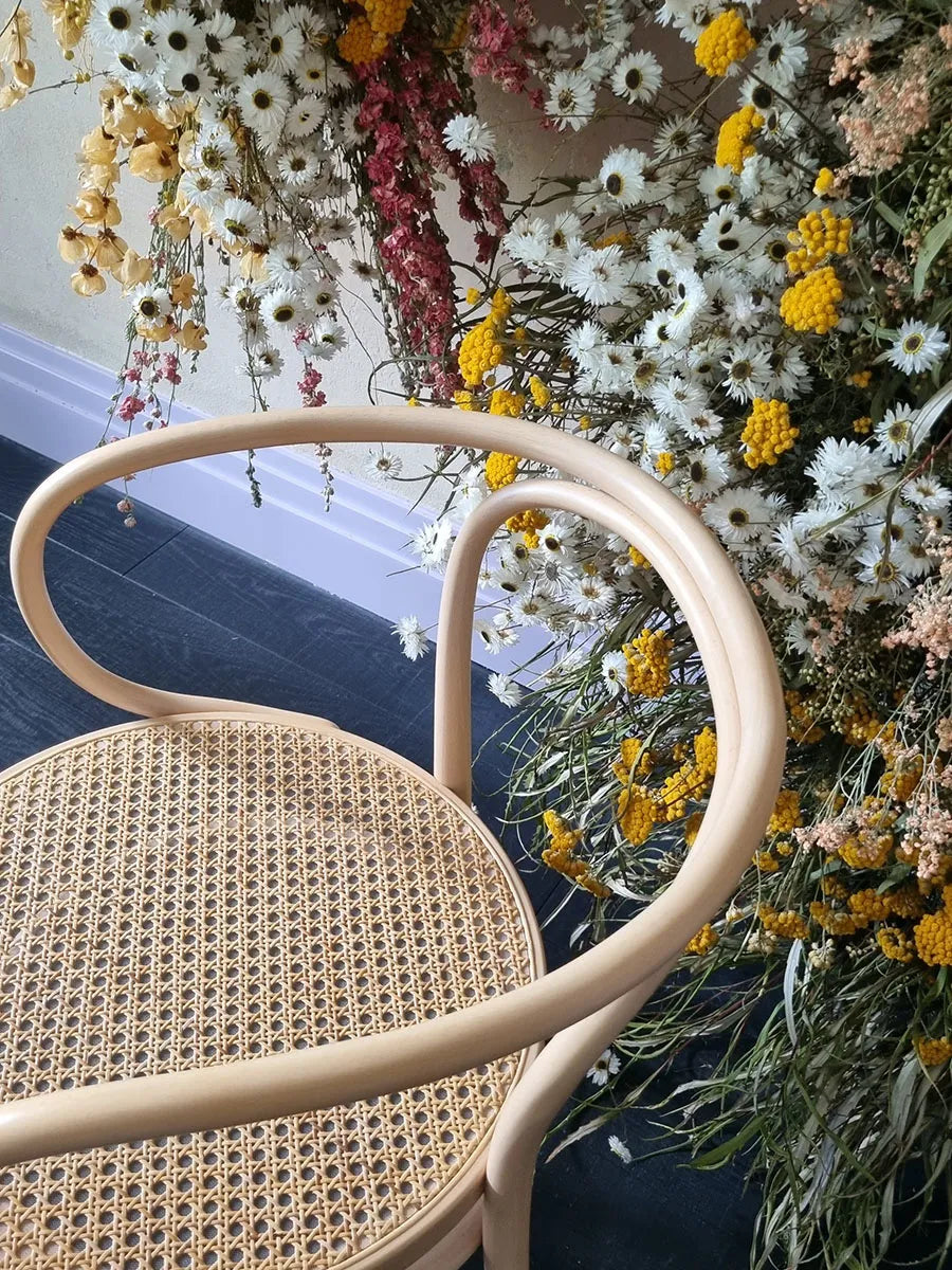 209 Armstol, bøg fra Thonet - 3 - Jacobsen Plus