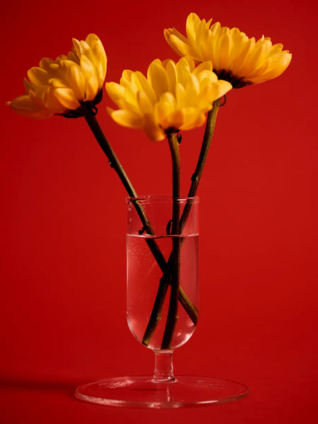Tiny Vase fra Hay - 5 - Jacobsen Plus