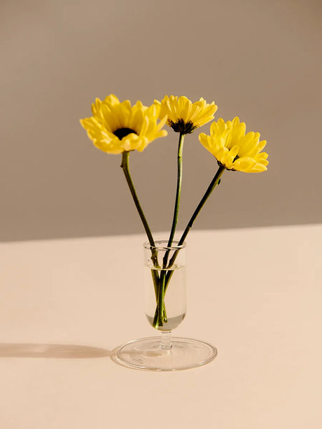 Tiny Vase fra Hay - 4 - Jacobsen Plus