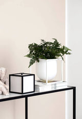 Kubus Flowerpot 14, hvid fra Audo Copenhagen - 2 - Jacobsen Plus