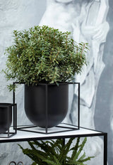Kubus Flowerpot 23, sort fra Audo Copenhagen